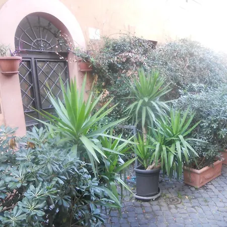 דירה Vaticano In רומא